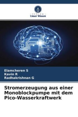 Stromerzeugung aus einer Monoblockpumpe mit dem Pico-Wasserkraftwerk