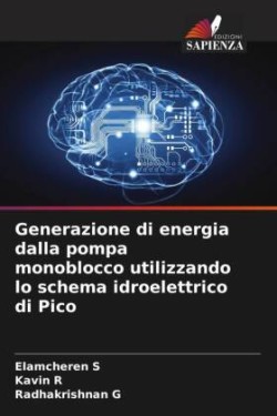 Generazione di energia dalla pompa monoblocco utilizzando lo schema idroelettrico di Pico