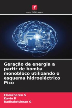 Geração de energia a partir de bomba monobloco utilizando o esquema hidroeléctrico Pico