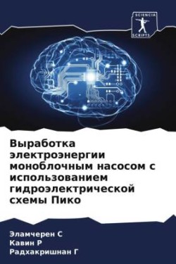 Vyrabotka älektroänergii monoblochnym nasosom s ispol'zowaniem gidroälektricheskoj shemy Piko