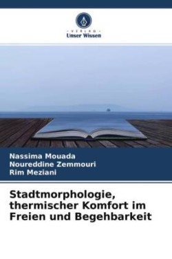 Stadtmorphologie, thermischer Komfort im Freien und Begehbarkeit