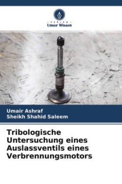 Tribologische Untersuchung eines Auslassventils eines Verbrennungsmotors