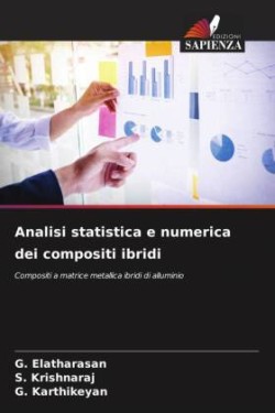 Analisi statistica e numerica dei compositi ibridi