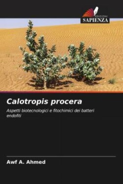 Calotropis procera
