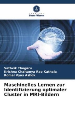 Maschinelles Lernen zur Identifizierung optimaler Cluster in MRI-Bildern