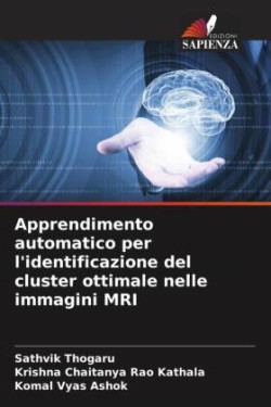 Apprendimento automatico per l'identificazione del cluster ottimale nelle immagini MRI