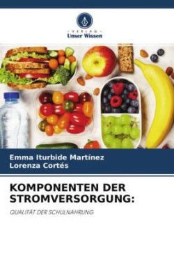 KOMPONENTEN DER STROMVERSORGUNG: