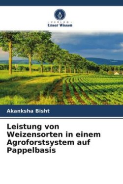 Leistung von Weizensorten in einem Agroforstsystem auf Pappelbasis