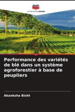 Performance des variétés de blé dans un système agroforestier à base de peupliers