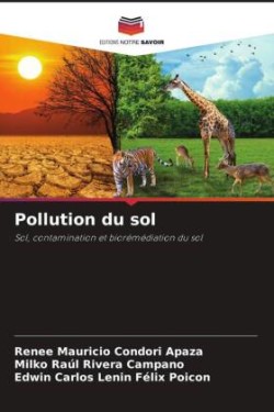 Pollution du sol