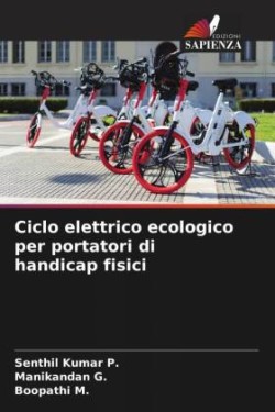 Ciclo elettrico ecologico per portatori di handicap fisici
