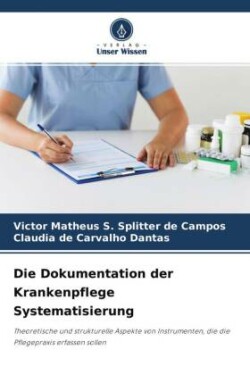 Die Dokumentation der Krankenpflege Systematisierung