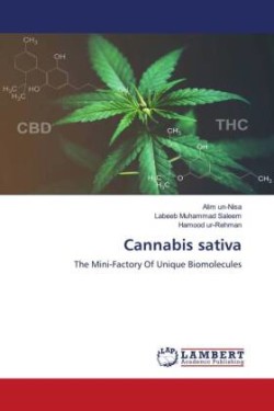 Cannabis sativa