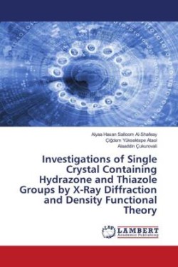 Investigations of Single Crystal Containing Hydrazone and Thiazole Groups by X-Ray Diffraction and Density Functional Theory