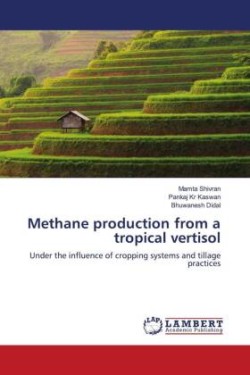 Methane production from a tropical vertisol