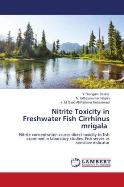 Nitrite Toxicity in Freshwater Fish Cirrhinus mrigala