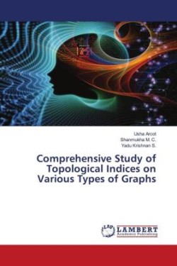 Comprehensive Study of Topological Indices on Various Types of Graphs