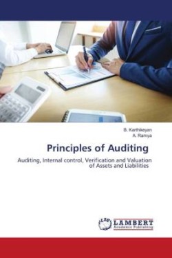 Principles of Auditing