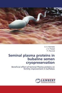 Seminal plasma proteins in bubaline semen cryopreservation