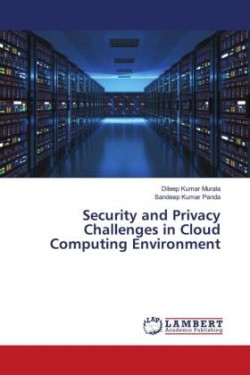 Security and Privacy Challenges in Cloud Computing Environment