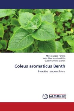 Coleus aromaticus Benth