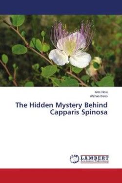 The Hidden Mystery Behind Capparis Spinosa