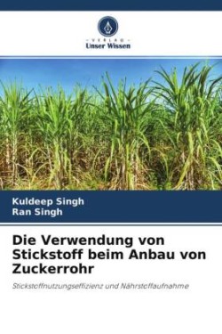 Die Verwendung von Stickstoff beim Anbau von Zuckerrohr