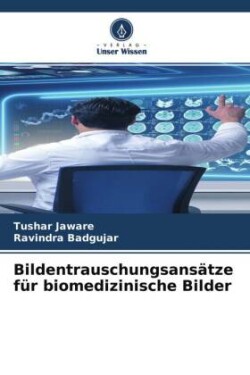 Bildentrauschungsansätze für biomedizinische Bilder