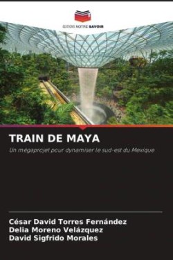 TRAIN DE MAYA