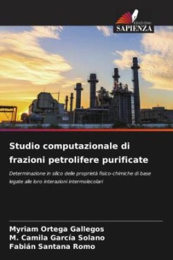 Studio computazionale di frazioni petrolifere purificate