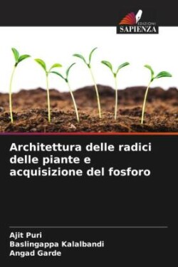 Architettura delle radici delle piante e acquisizione del fosforo