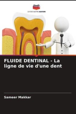 FLUIDE DENTINAL - La ligne de vie d'une dent