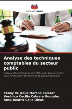 Analyse des techniques comptables du secteur public