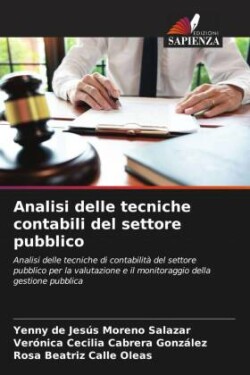 Analisi delle tecniche contabili del settore pubblico