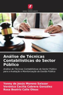 Análise de Técnicas Contabilísticas do Sector Público