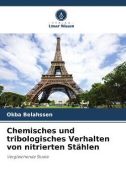 Chemisches und tribologisches Verhalten von nitrierten Stählen