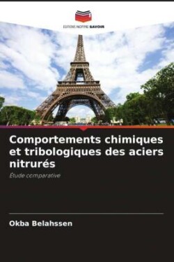 Comportements chimiques et tribologiques des aciers nitrurés