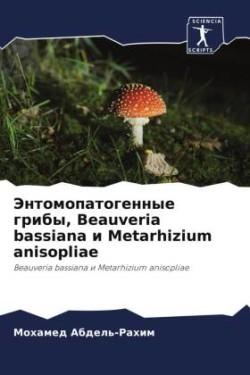 Jentomopatogennye griby, Beauveria bassiana i Metarhizium anisopliae
