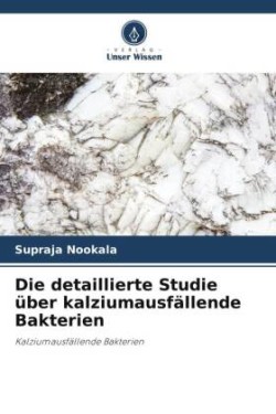 detaillierte Studie über kalziumausfällende Bakterien