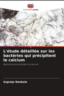 L'étude détaillée sur les bactéries qui précipitent le calcium