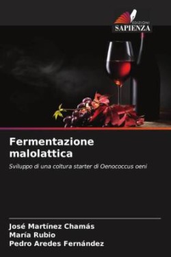 Fermentazione malolattica