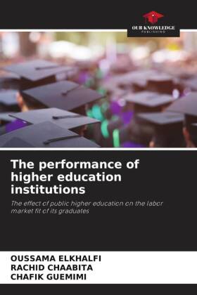 The performance of higher education institutions