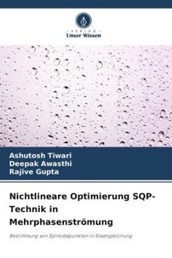 Nichtlineare Optimierung SQP-Technik in Mehrphasenströmung