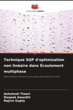 Technique SQP d'optimisation non linéaire dans Écoulement multiphase