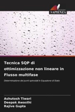 Tecnica SQP di ottimizzazione non lineare in Flusso multifase