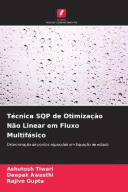 Técnica SQP de Otimização Não Linear em Fluxo Multifásico