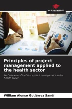 Principles of project management applied to the health sector