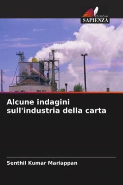 Alcune indagini sull'industria della carta