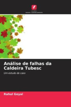 Análise de falhas da Caldeira Tubesc