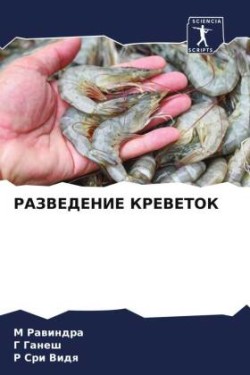 RAZVEDENIE KREVETOK